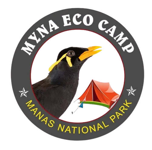 Myna Eco Camp